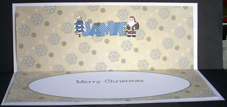 Santa Jamie Large Dl Insert by Joyce Watson