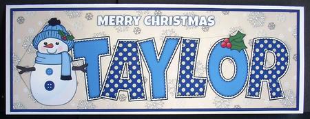 Cute Snowman Taylor Large Dl by Joyce Watson