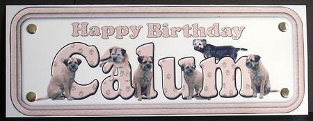 Calum & Border Terrier Name Sign by Joyce Watson