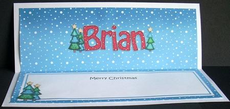 Xmas Brian Trees Matching Large Dl Insert by Joyce Watson