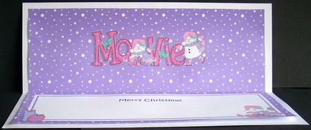 Large Dl Xmas Mollie Snowmen Matching Insert by Joyce Watson