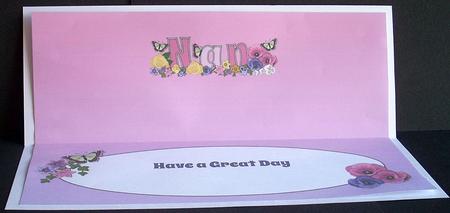 Flower Blossom Nan Large Dl Insert by Joyce Watson
