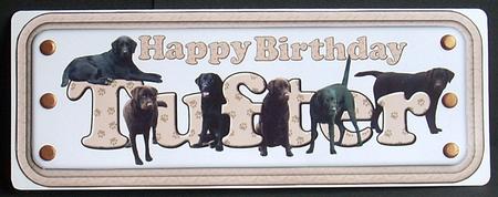 Tufter Name Sign & Labradors by Joyce Watson