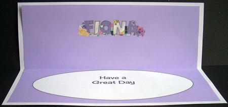 Flowers & Accessories Fiona Large Dl Insert by Joyce Watson