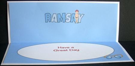 Swimmer Ramsay Large Dl Insert by Joyce Watson