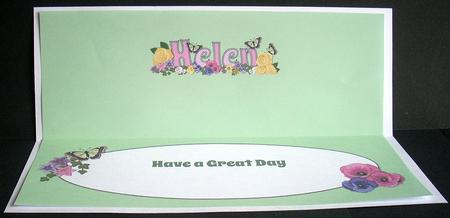 Flower Blossom Helen Large Dl Insert by Joyce Watson