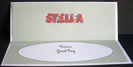 Flowers Stella Large Dl Insert by Joyce Watson