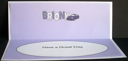 Purple Porsche Briony Large Dl Insert by Joyce Watson
