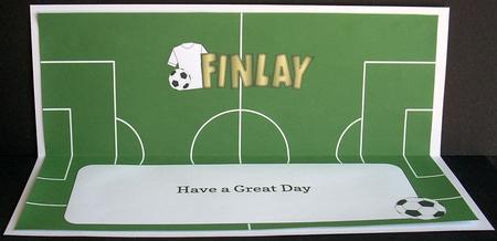 White Football Top Finlay Large Dl Insert by Joyce Watson