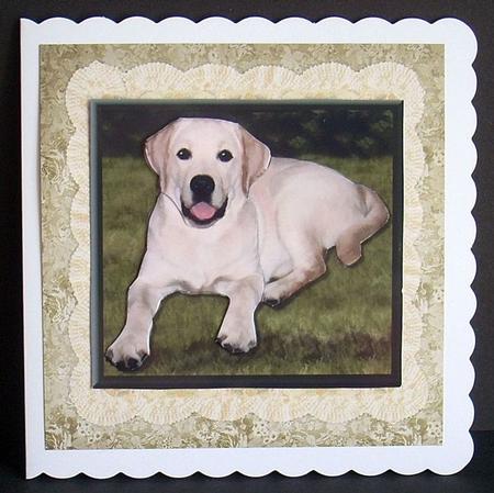 Golden Labrador 3D Decoupage by Joyce Watson