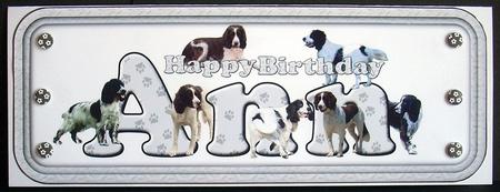 Ann & Springer Spaniel Name Sign by Joyce Watson