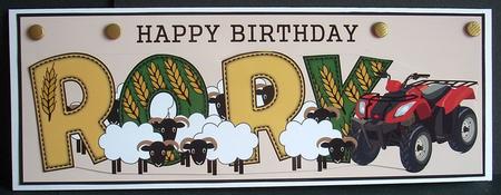 Sheep & Quad Bike Rory Large Dl by Joyce Watson