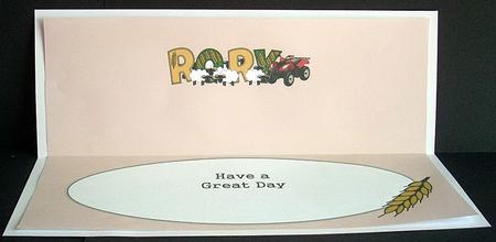 Sheep & Quad Bike Rory Large Dl Insert by Joyce Watson