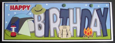 Camping Birthday Large Dl by Joyce Watson