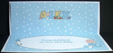 New Baby Boy Alex with Cute Baby & Bottle Large Dl Insert by Joyce Watson