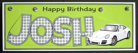Porsche Josh Large Dl by Joyce Watson