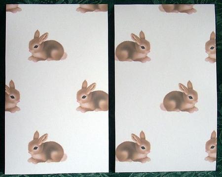 Easter Bunny Backing Paper by Joyce Watson