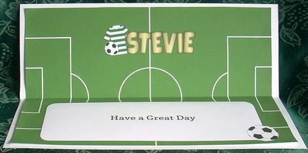 Green & White Hoops Football Top Stevie Large Dl Insert by Joyce Watson