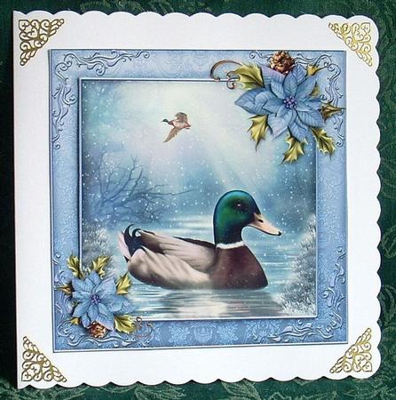 The Christmas Duck Pond by Joyce Watson