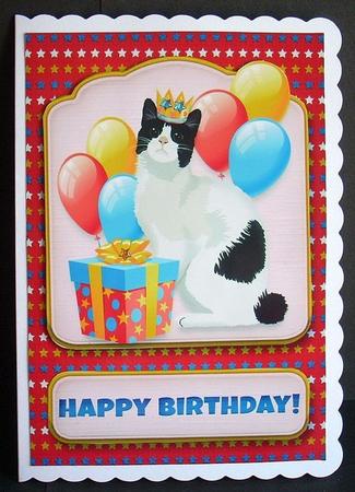 Happy Birthday from the Furball 2 by Joyce Watson