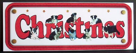Border Collie Christmas Name Sign by Joyce Watson