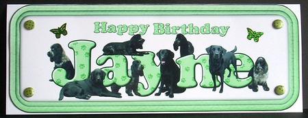 Jayne,spaniels & Labradors Name Sign by Joyce Watson