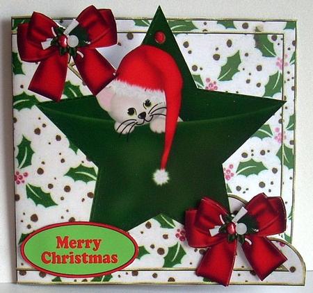Kitten in Santa Hat Sleeping on a Star Over the Edge Card by Joyce Watson