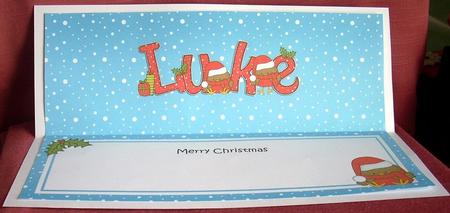 Large Dl Xmas Luke Bobbin Robins Matching Insert by Joyce Watson