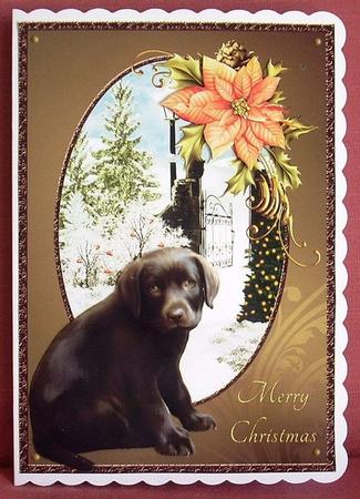 Labrador Pup & Poinsettia Christmas Card by Joyce Watson