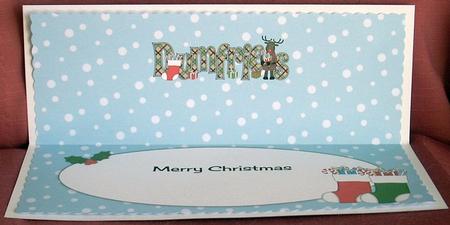 Merry Christmas from Dumfries Rudolf Large Dl Insert by Joyce Watson