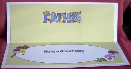 Bright Flowers Cathie Large Dl Insert by Joyce Watson