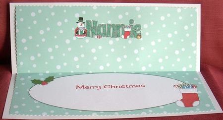 Snowman in Jacket Nannie Large Dl Insert by Joyce Watson