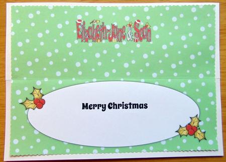 Christmas Names Elizabeth-jane & Sean Large Dl Insert by Joyce Watson