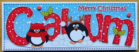 Large Dl Xmas Calum Pip Penguin 3D Decoupage by Joyce Watson