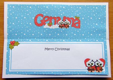 Large Dl Christmas Gemma Love Owls Insert by Joyce Watson