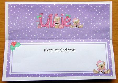 Large Dl 1st Christmas Lillie Livvy Bear Insert by Joyce Watson