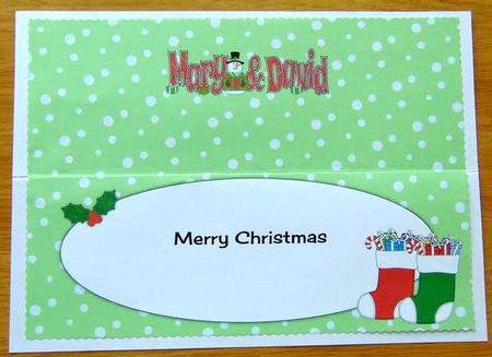 Christmas Names Mary & David Large Dl Insert by Joyce Watson