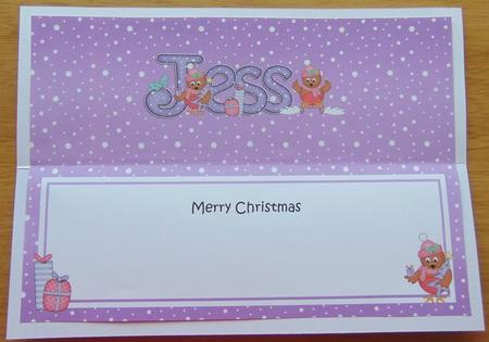 Large Dl Christmas Jess Robins Insert by Joyce Watson