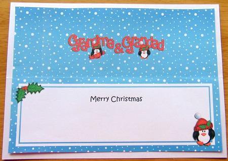 Large Dl Xmas Grandma & Grandad Penguins Matching Insert by Joyce Watson