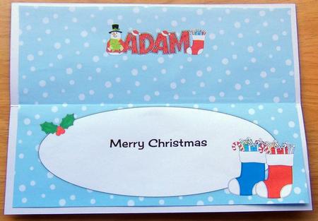 Snowman Adam Large Dl Insert by Joyce Watson