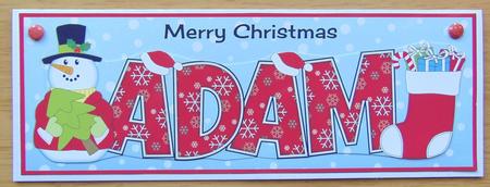 Snowman Adam Large Dl by Joyce Watson
