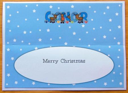 Rudolf & Friends Conor Large Dl Insert by Joyce Watson