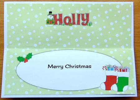 Snowman in Jacket Holly Large Dl Insert by Joyce Watson