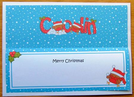 Large Dl Christmas Colin Robins Insert by Joyce Watson