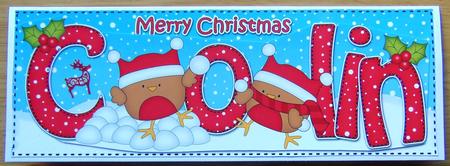 Large Dl Christmas Colin Robins 3D Decoupage by Joyce Watson