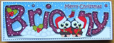 Large Dl Christmas Briony Owls 3D Decoupage by Joyce Watson