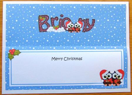 Large Dl Christmas Briony Owls Insert by Joyce Watson