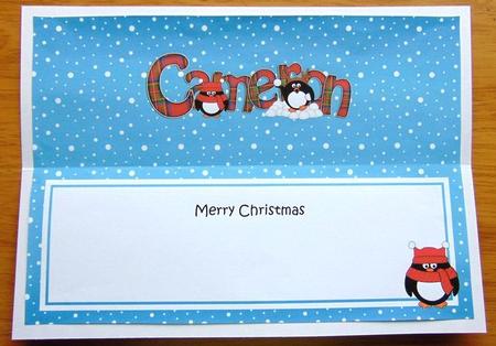Large Dl Christmas Cameron Tartan Penguins Insert by Joyce Watson
