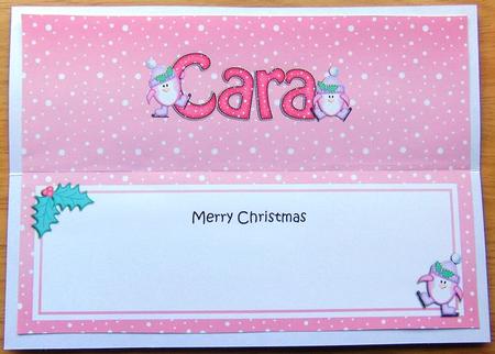 Large Dl Christmas Cara Penguins Insert by Joyce Watson
