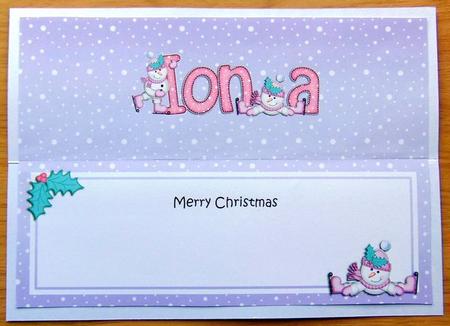 Large Dl Christmas Iona Snowman Insert by Joyce Watson